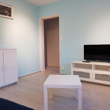 Ferienwohnung Le Bellevue Colmar Exterior foto